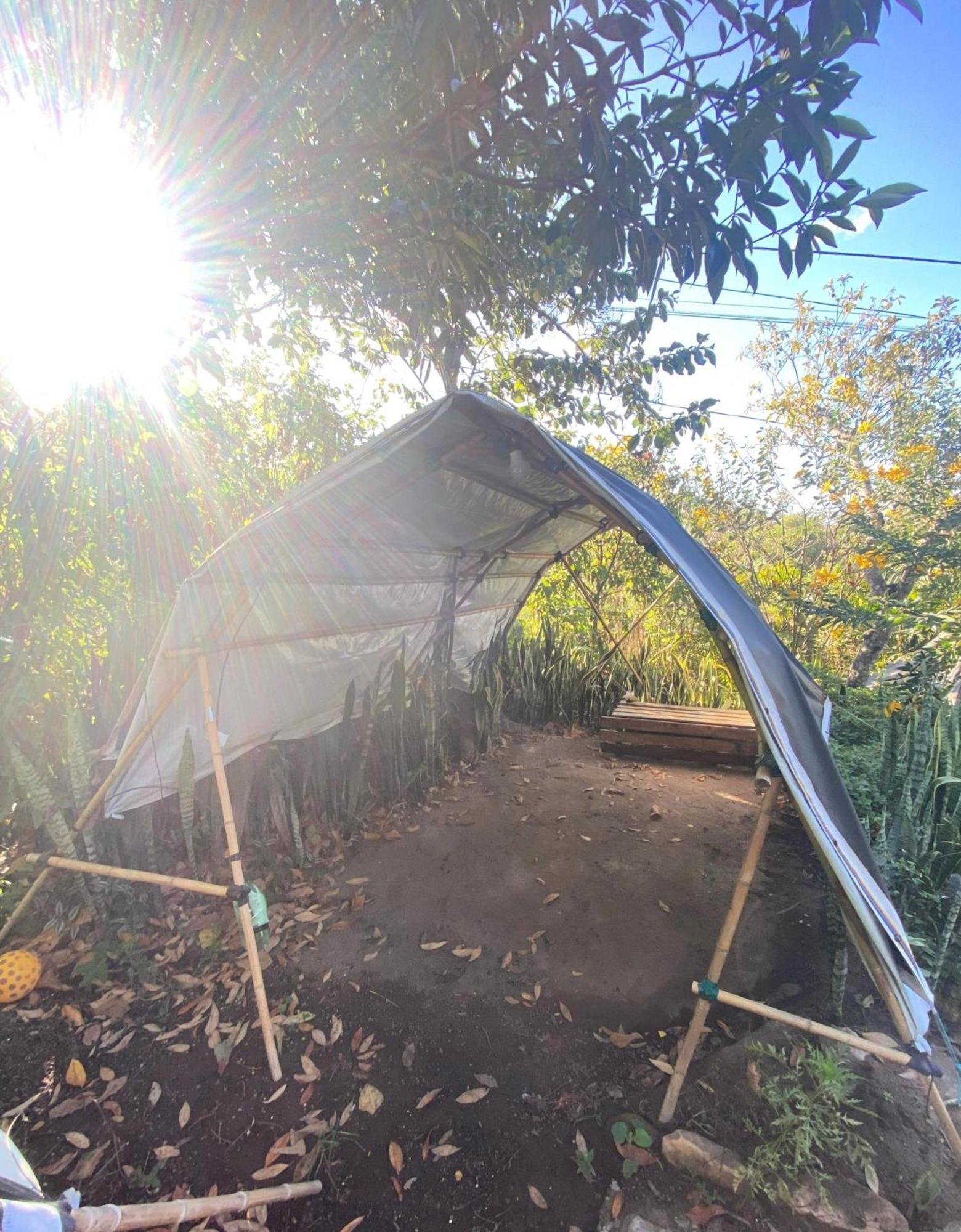 Camping Filhos Da Floresta - Vale Do Capao Εξωτερικό φωτογραφία